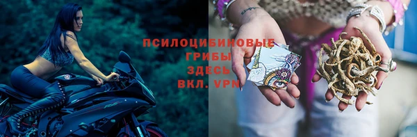 гидра Алзамай