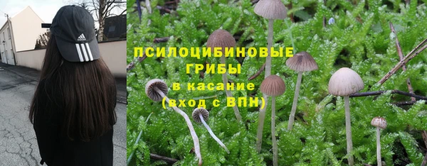 тгк Алексеевка