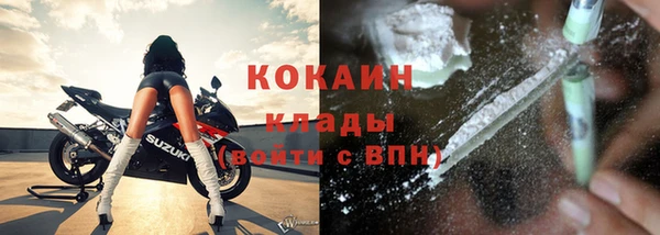 молекула духа Алексин